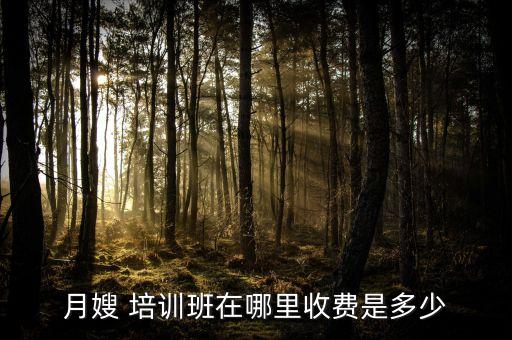 月嫂 培训班在哪里收费是多少