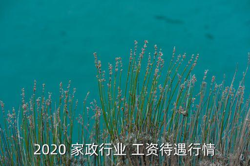 2020 家政行业 工资待遇行情