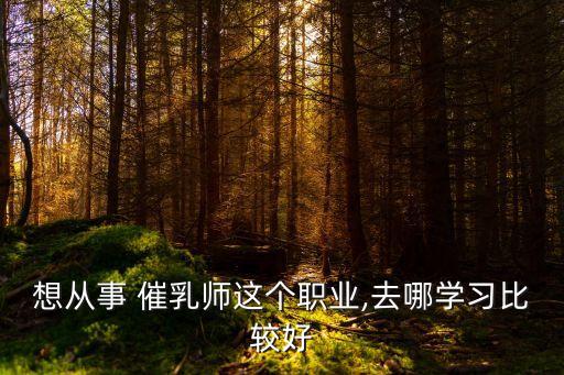 想从事 催乳师这个职业,去哪学习比较好