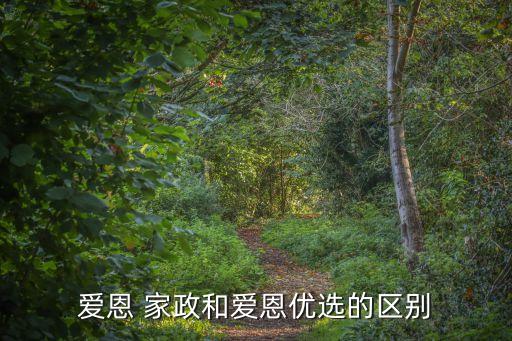 爱恩 家政和爱恩优选的区别