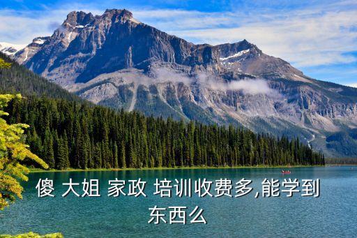 傻 大姐 家政 培训收费多,能学到东西么