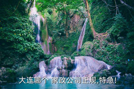  大连哪个 家政公司正规,特急!