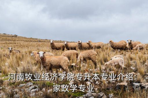 虞城县学家政培训,学家政到什么地方培训最佳