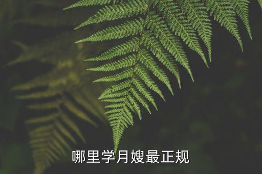哪里学月嫂最正规