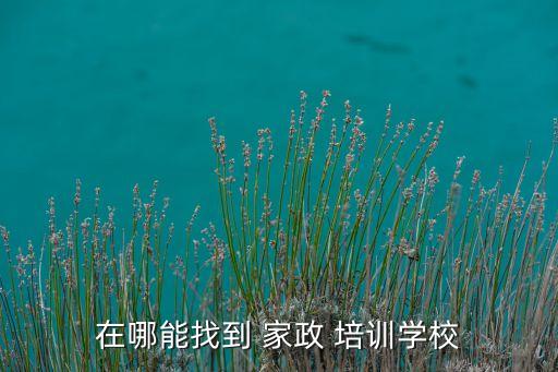 柳州哪里有家政培训,广西柳州家政培训要多少钱