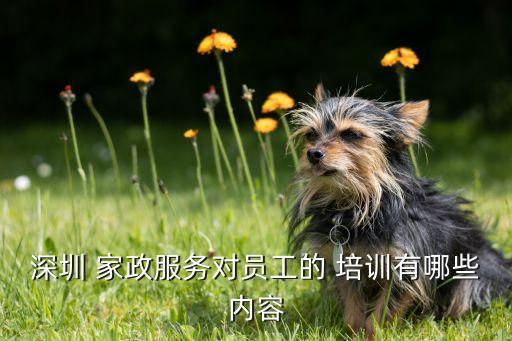深圳 家政服务对员工的 培训有哪些内容