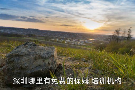 深圳哪里有免费的保姆 培训机构