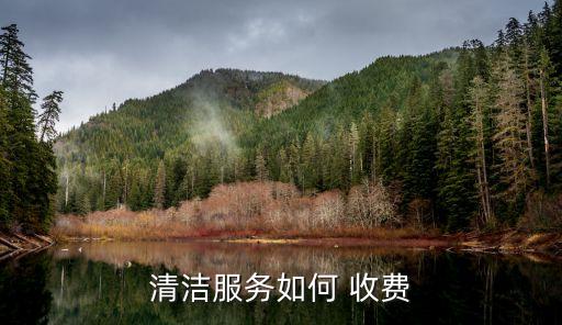 装修打扫家政怎么收费,新房装修卫生找家政还是自己打扫