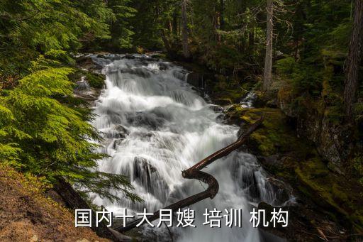国内十大月嫂 培训 机构