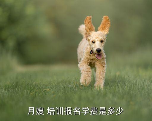 月嫂 培训报名学费是多少