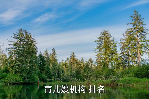 育儿嫂机构 排名