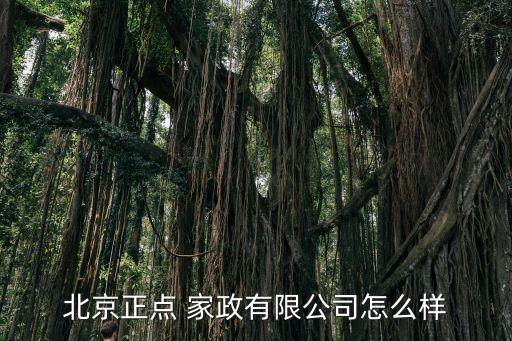 北京正点 家政有限公司怎么样