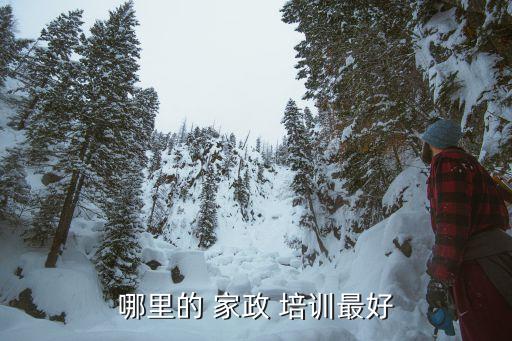 哪里的 家政 培训最好