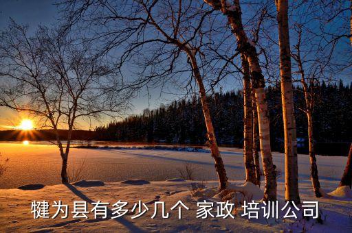 犍为县有多少几个 家政 培训公司