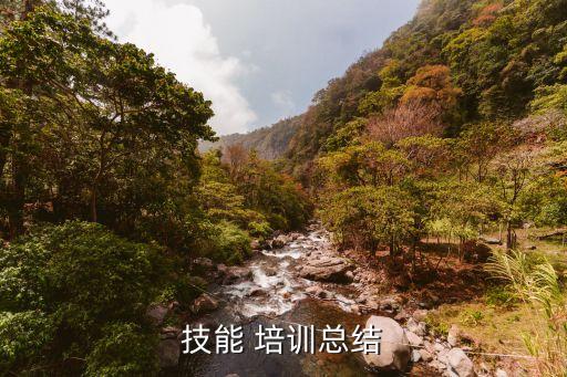 技能 培训总结