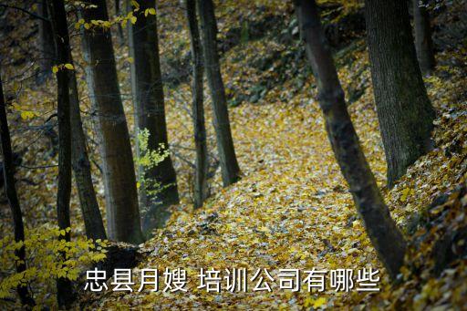 忠县月嫂 培训公司有哪些