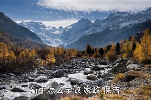 家政保洁经营培训计划