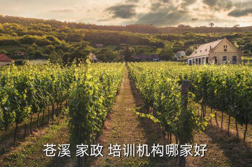 苍溪 家政 培训机构哪家好