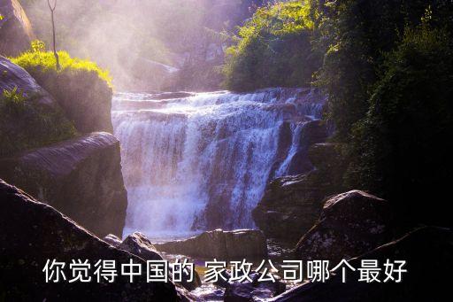 你觉得中国的 家政公司哪个最好