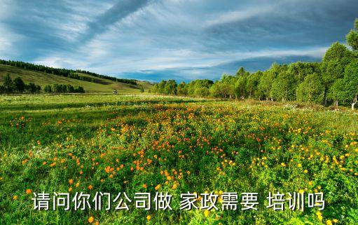 请问你们公司做 家政需要 培训吗