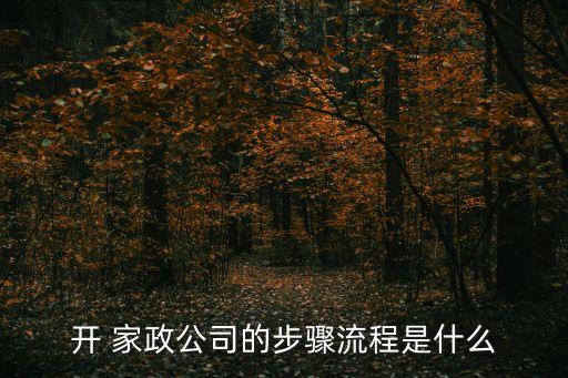 开 家政公司的步骤流程是什么