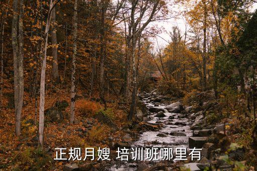 正规月嫂 培训班哪里有