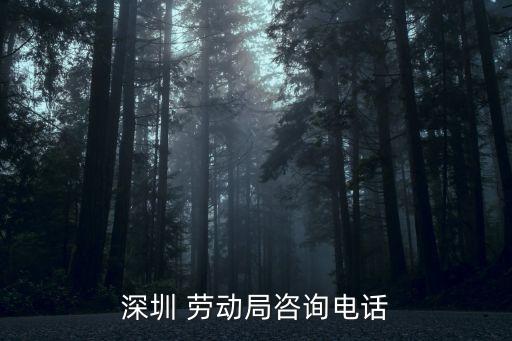深圳 劳动局咨询电话