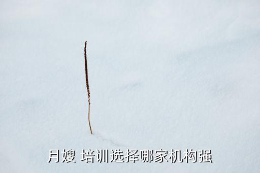 秦皇岛哪家家政培训好啊,广州正规的家政培训公司哪家好