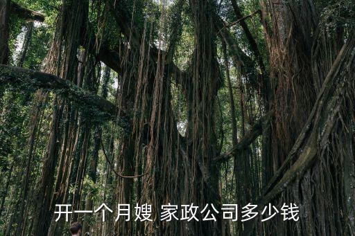 开一个月嫂 家政公司多少钱
