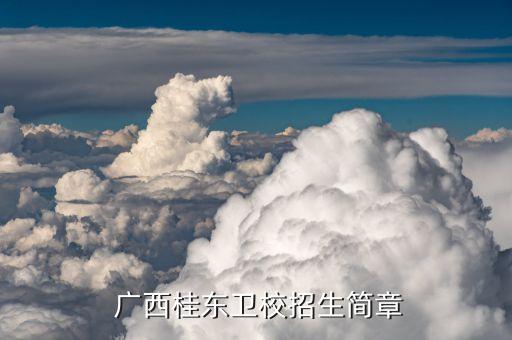  广西桂东卫校招生简章