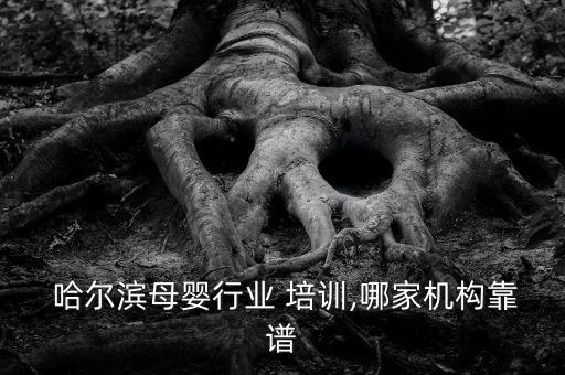 哈尔滨家政师资培训,家政师资培训免费课件