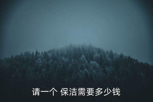 请一个 保洁需要多少钱