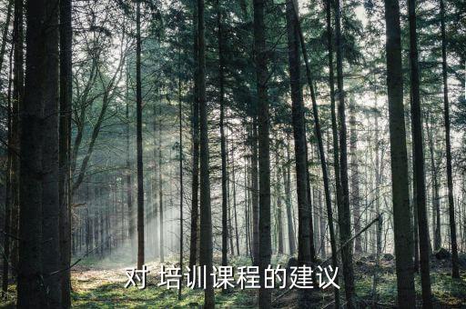 对 培训课程的建议