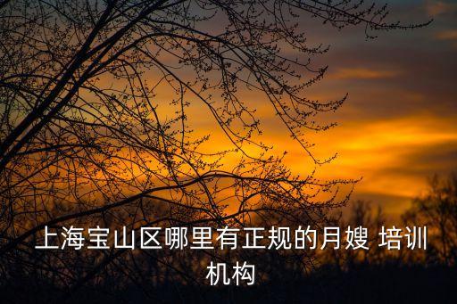 上海专业家政培训机构,上海最大的家政培训机构有哪些