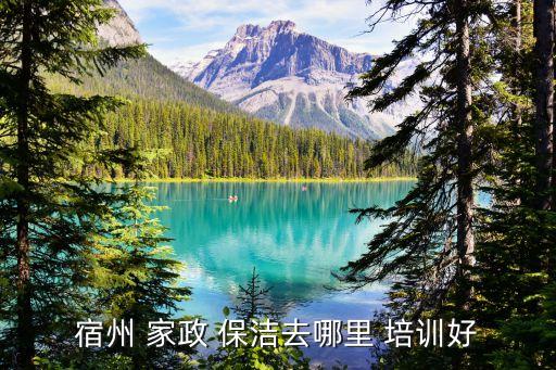 宿州 家政 保洁去哪里 培训好