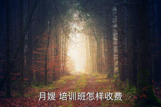 月嫂 培训班怎样收费