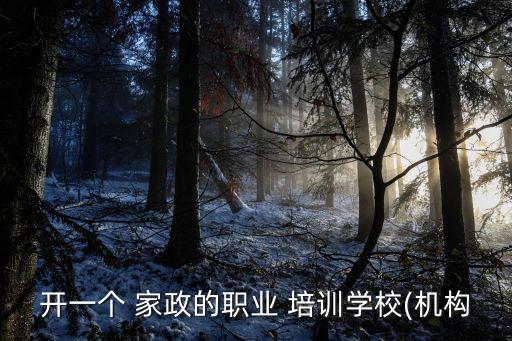 开一个 家政的职业 培训学校(机构
