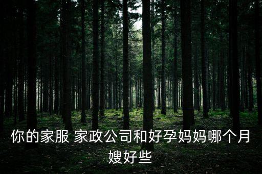 你的家服 家政公司和好孕妈妈哪个月嫂好些