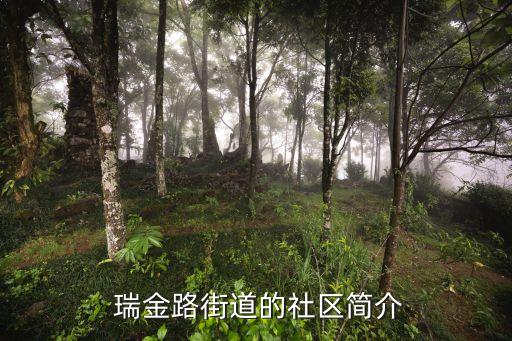  瑞金路街道的社区简介