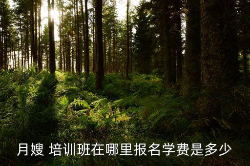 月嫂 培训班在哪里报名学费是多少