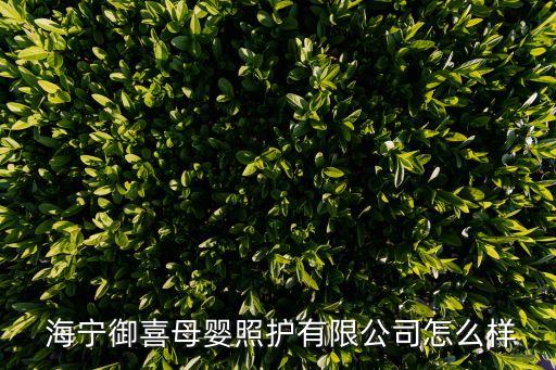  海宁御喜母婴照护有限公司怎么样