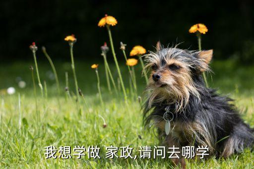 家政保洁员培训学校,东莞柏林家政培训学校怎么样