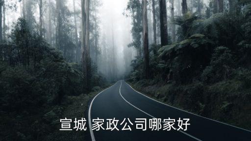 宣城 家政公司哪家好