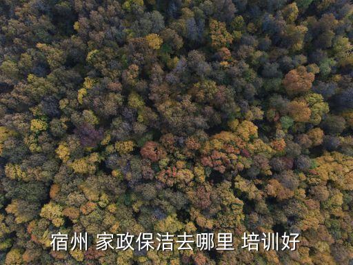 宿州 家政保洁去哪里 培训好