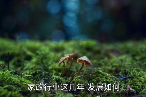 家政培训学校办的发展计划,办家政培训学校需要哪些手续