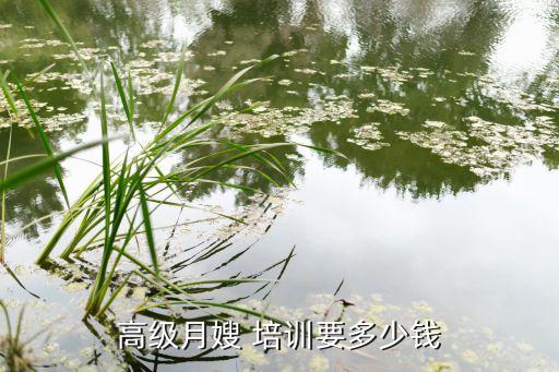 高级月嫂 培训要多少钱