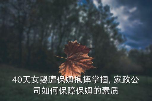 40天女婴遭保姆抱摔掌掴, 家政公司如何保障保姆的素质