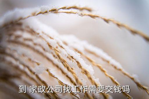 到 家政公司找工作需要交钱吗