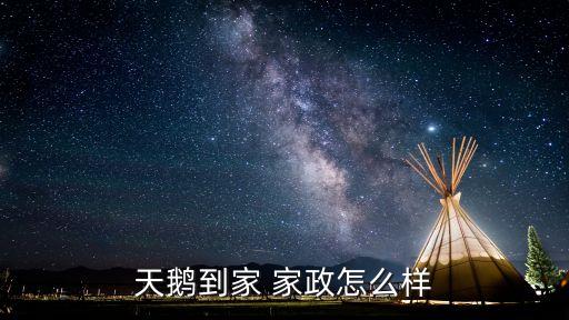 天鹅到家 家政怎么样