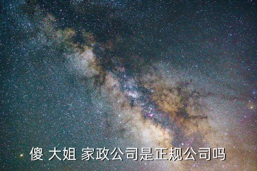 傻 大姐 家政公司是正规公司吗
